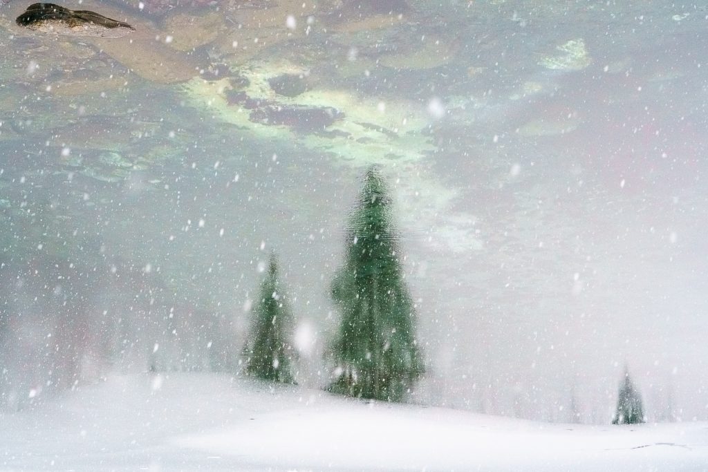 Les Amis du Centre Culturel aident à l'organisation des expositions