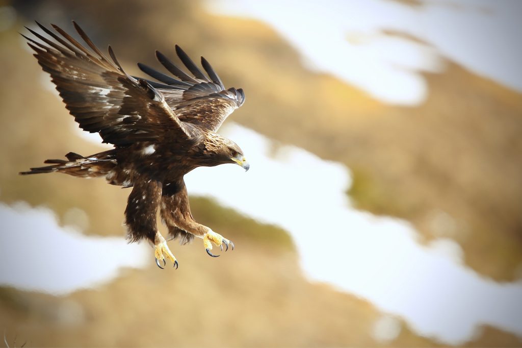 exposition temporaire Charly jacquemoud